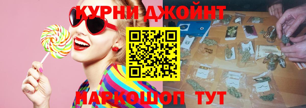 Каннабис сатива Советск
